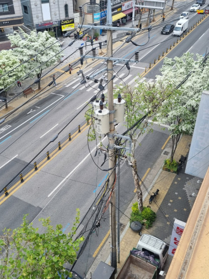 갤러리